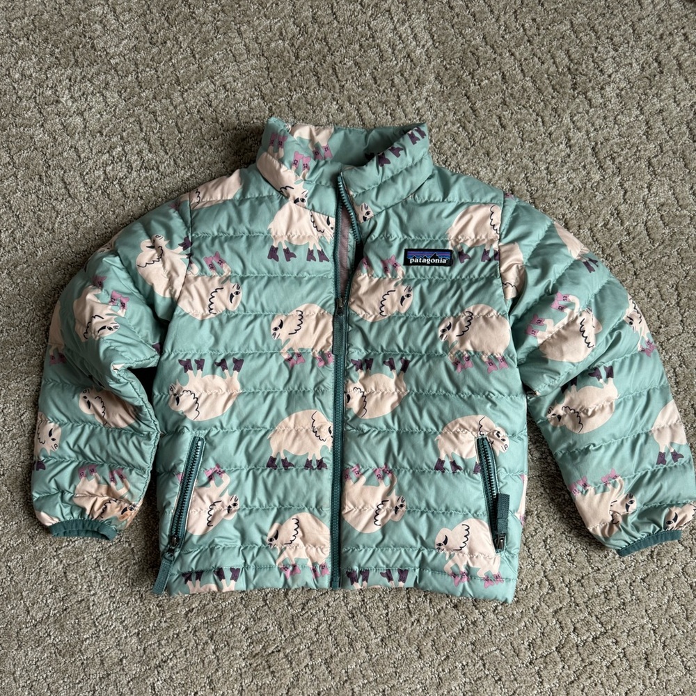 Patagonia Buffalo Down Jacket sz 4t